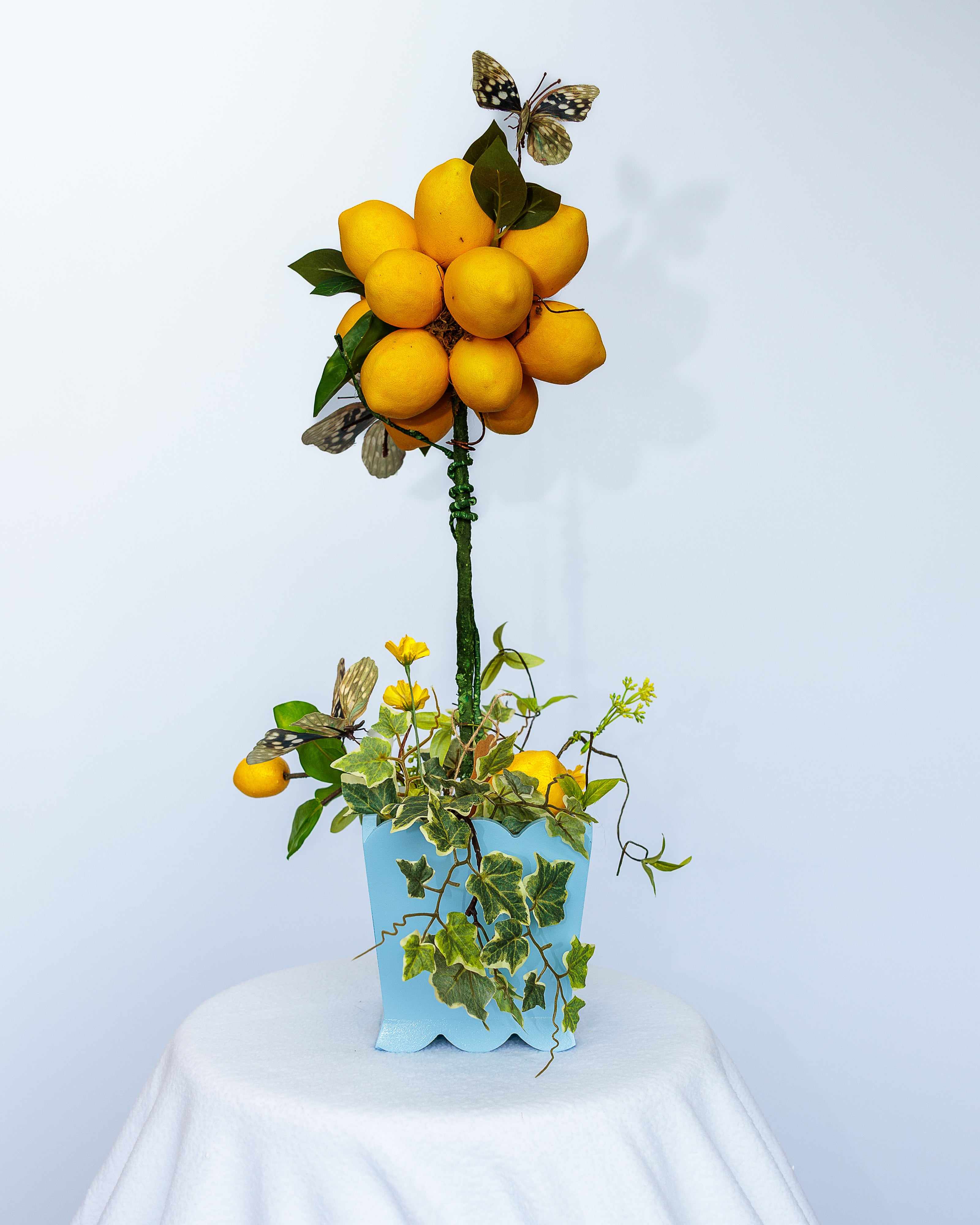 Wedgewood Blue Wooden Planter with Lemon Topiary